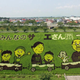 Illustration for article titled Behold These Incredible Artworks Grown from a Rice Field in Japan